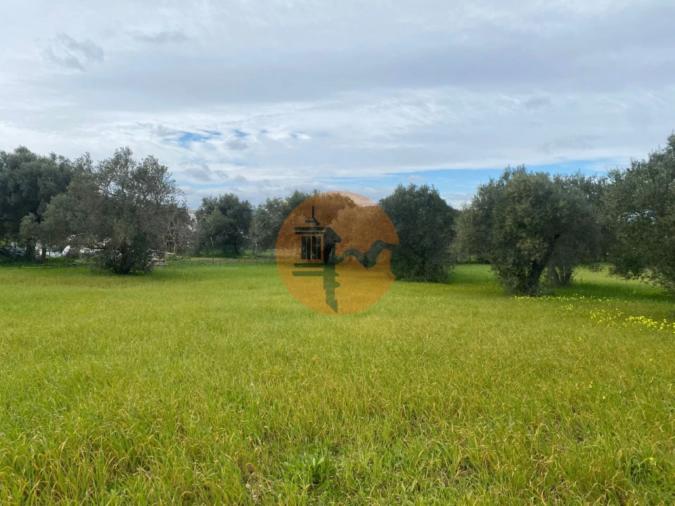 Terreno para Venda em São Brás de Alportel Foto 11