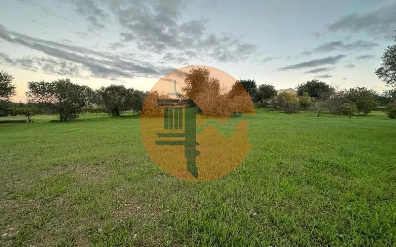 Terreno para Venda em São Brás de Alportel Foto 2