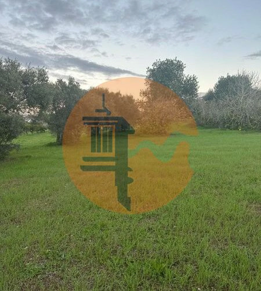 Terreno para Venda em São Brás de Alportel Foto 4