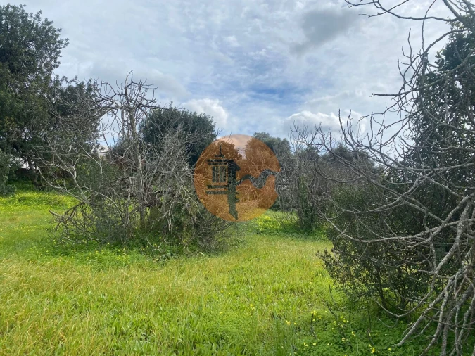 Terreno para Venda em São Brás de Alportel Foto 5