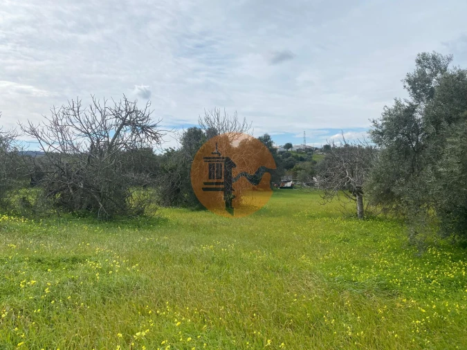 Terreno para Venda em São Brás de Alportel Foto 6