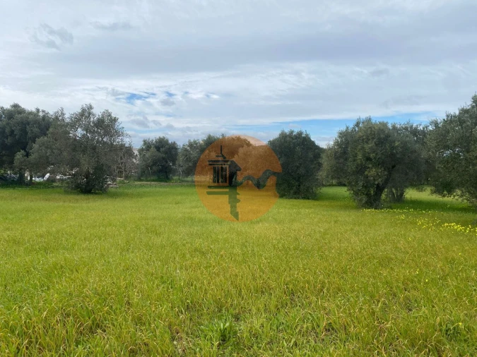 Terreno para Venda em São Brás de Alportel Foto 11