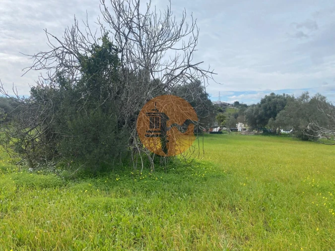 Terreno para Venda em São Brás de Alportel Foto 12