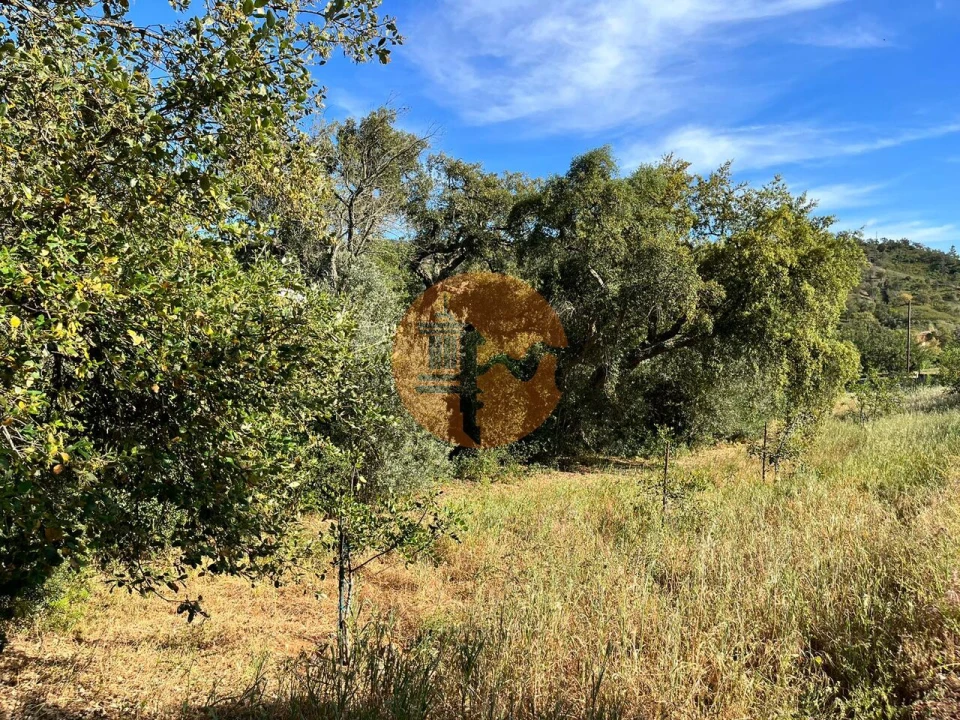 Terreno para Venda em Salir Foto 5