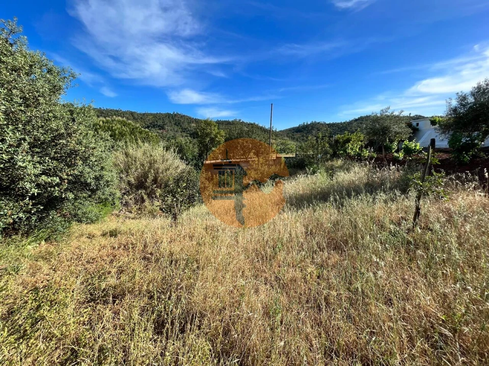 Terreno para Venda em Salir Foto 4