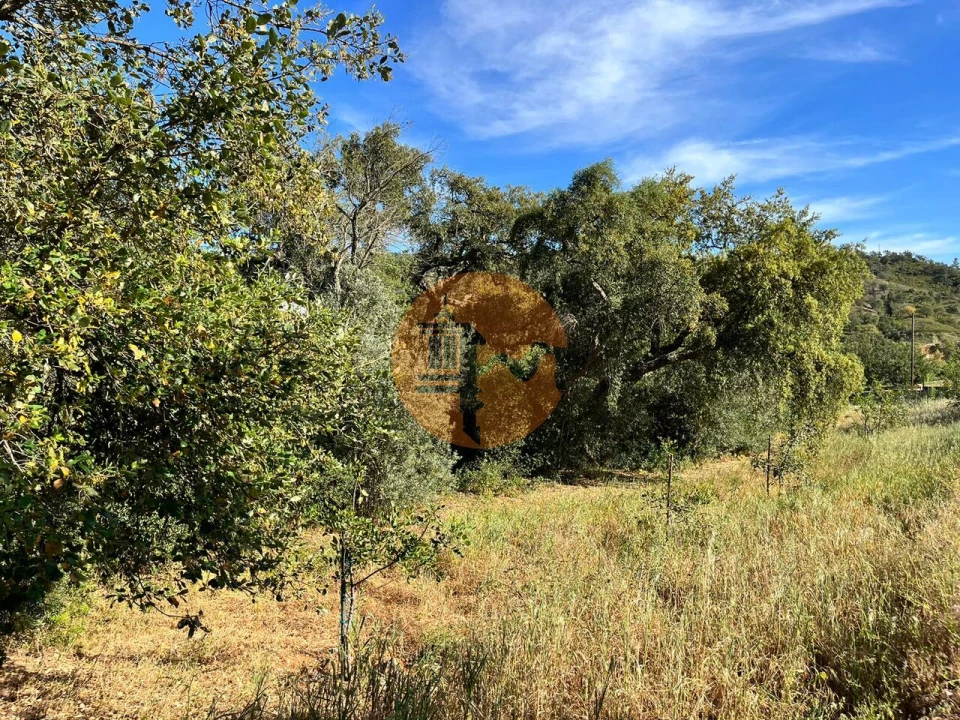 Terreno para Venda em Salir Foto 2