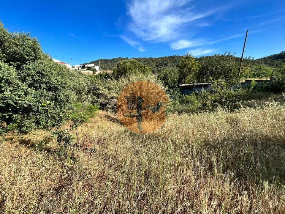 Terreno para Venda em Salir Foto 7