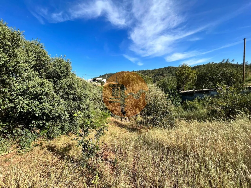 Terreno para Venda em Salir Foto 8