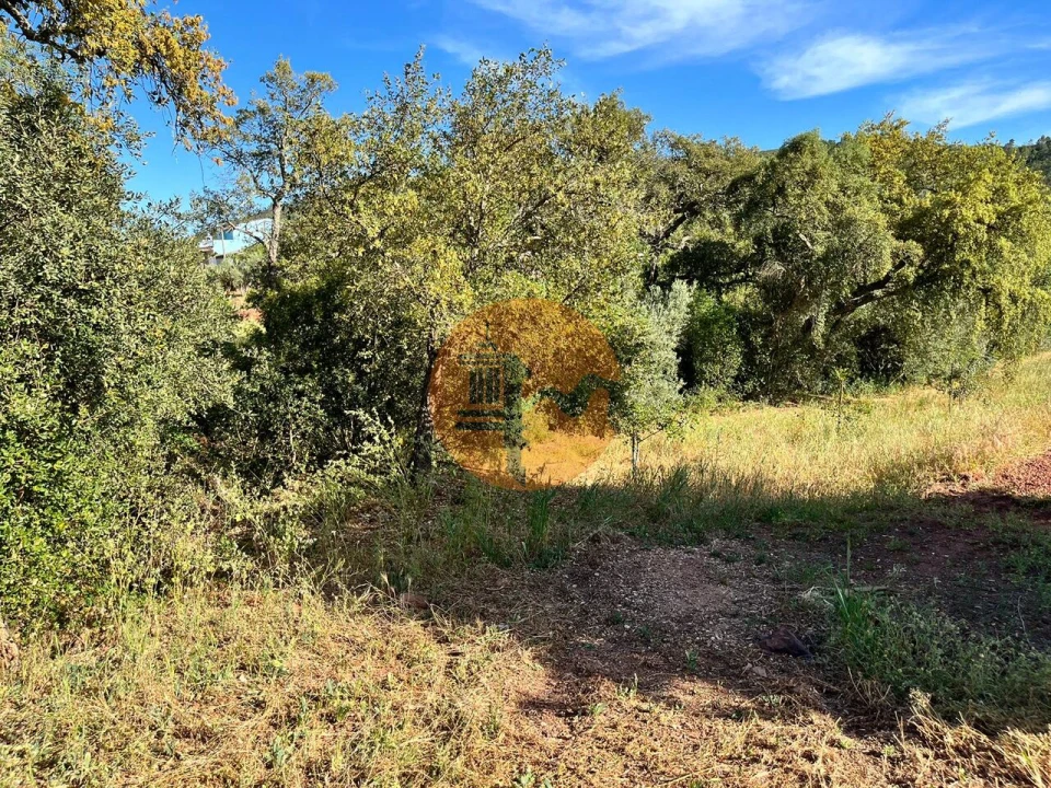 Terreno para Venda em Salir Foto 9