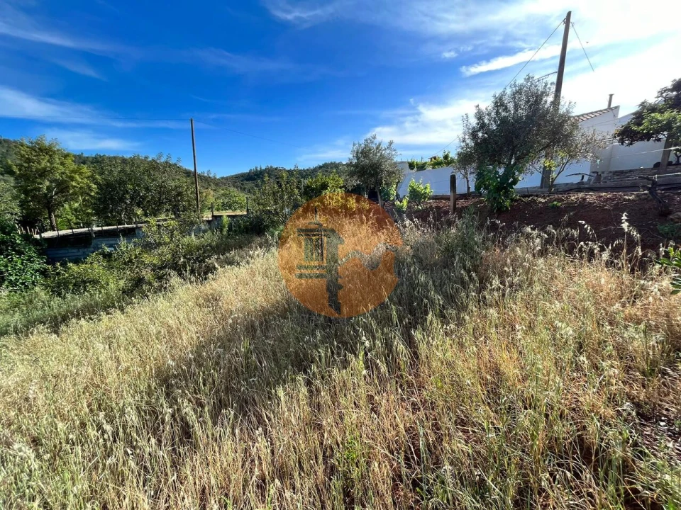 Terreno para Venda em Salir Foto 3