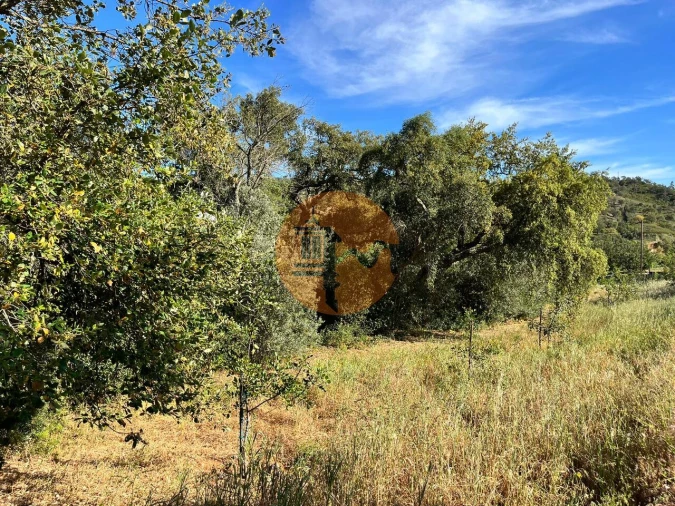 Terreno para Venda em Salir Foto 2