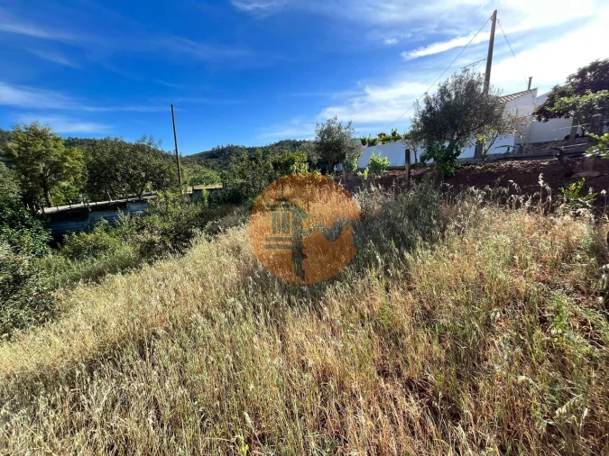 Terreno para Venda em Salir Foto 6