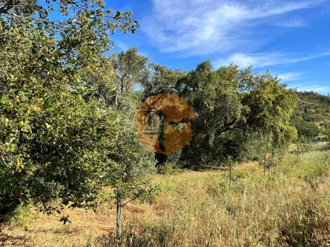 Terreno para Venda em Salir Foto 10