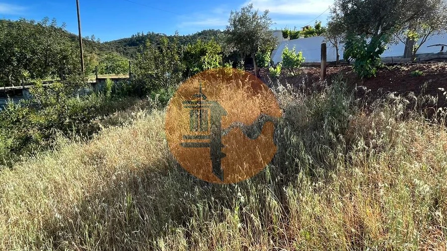 Terreno para Venda em Salir