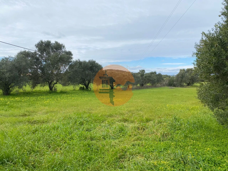 Terreno para Venda em São Brás de Alportel Foto 2