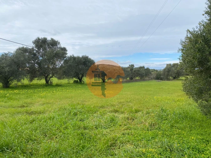 Terreno para Venda em São Brás de Alportel Foto 2