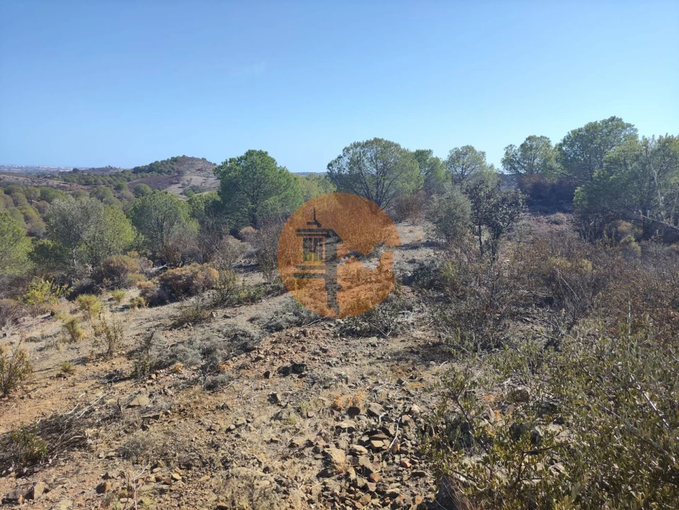 Terreno para Venda em Castro Marim Foto 11