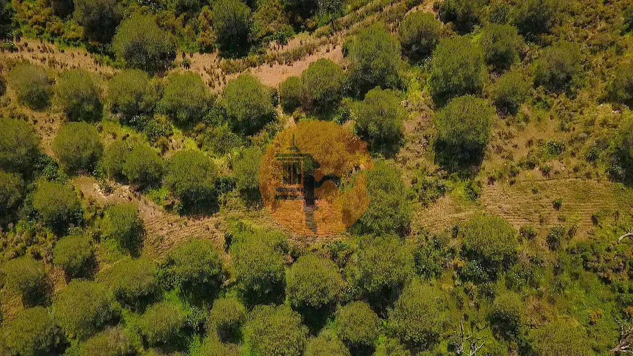 Terreno para Venda em Castro Marim Foto 21