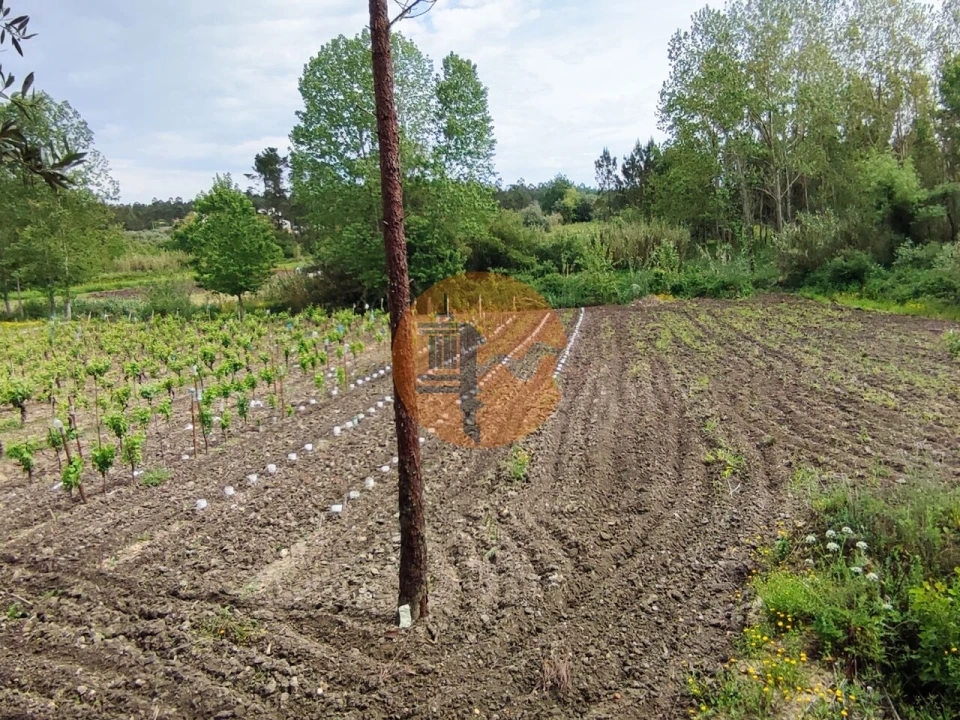 Terreno para Venda em Casal Comba Foto 5