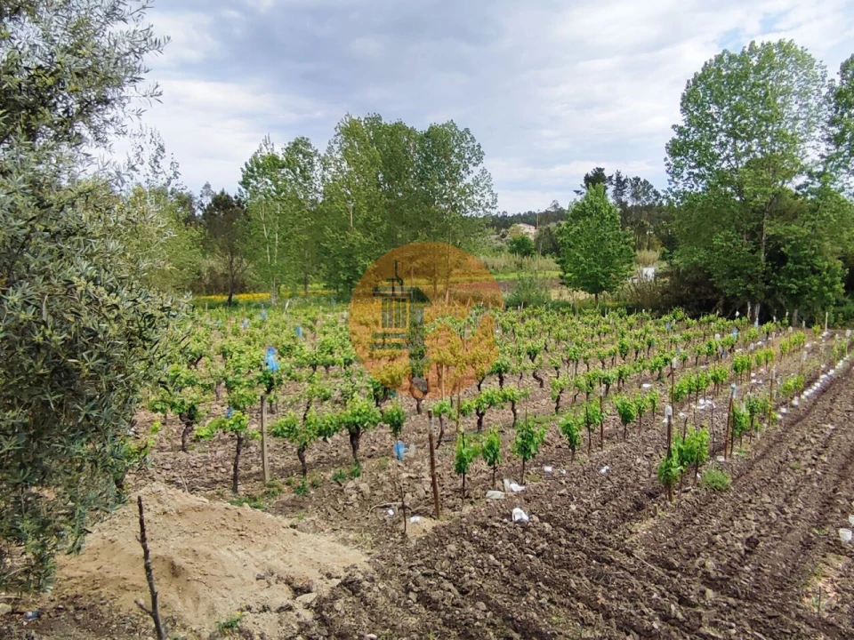 Terreno para Venda em Casal Comba Foto 9