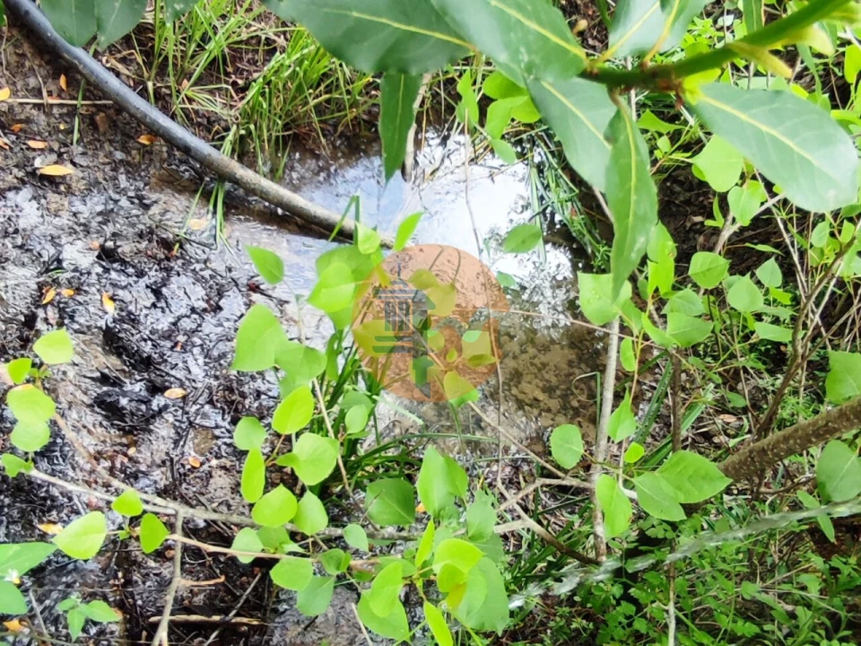 Terreno para Venda em Casal Comba Foto 11