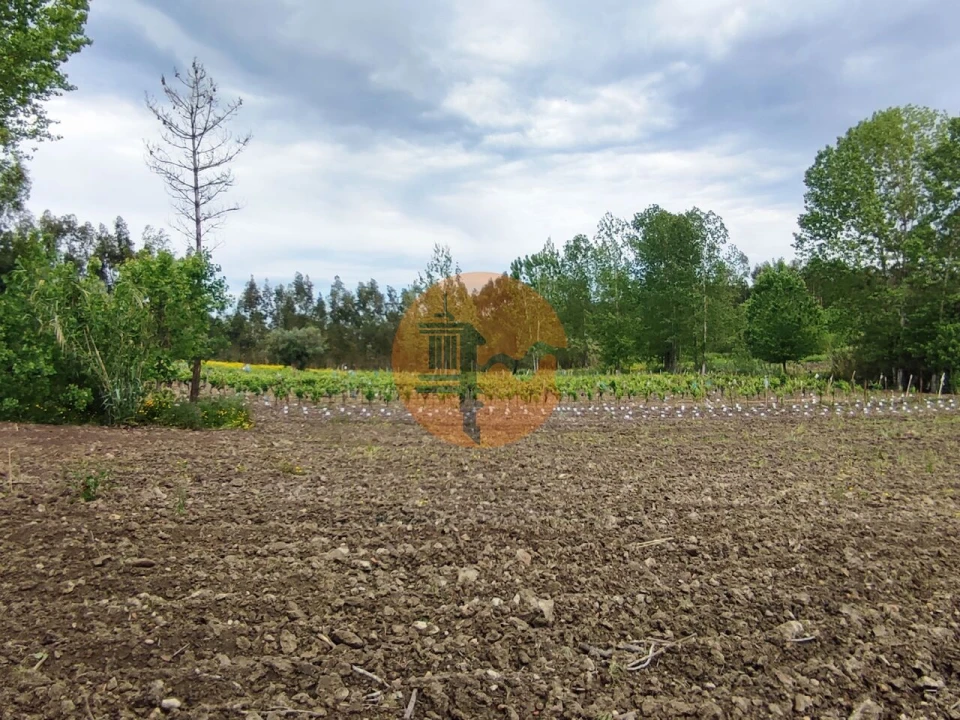 Terreno para Venda em Casal Comba Foto 13