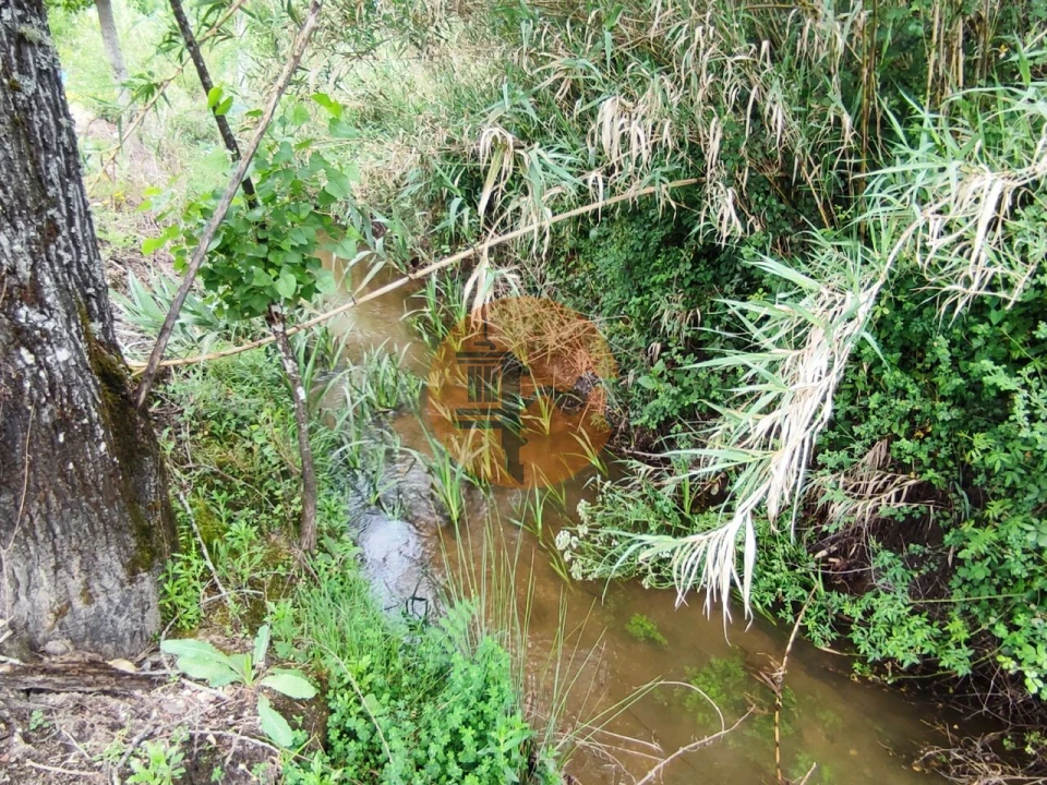 Terreno para Venda em Casal Comba Foto 20