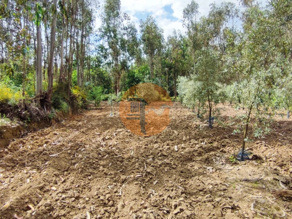 Terreno para Venda em Casal Comba Foto 27