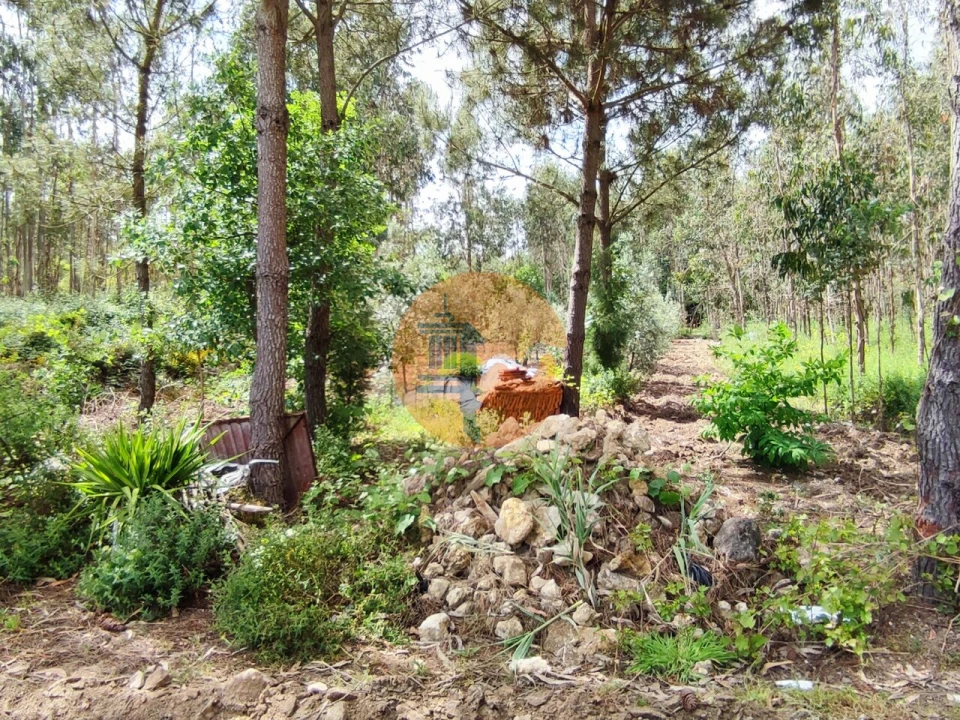 Terreno para Venda em Casal Comba Foto 28