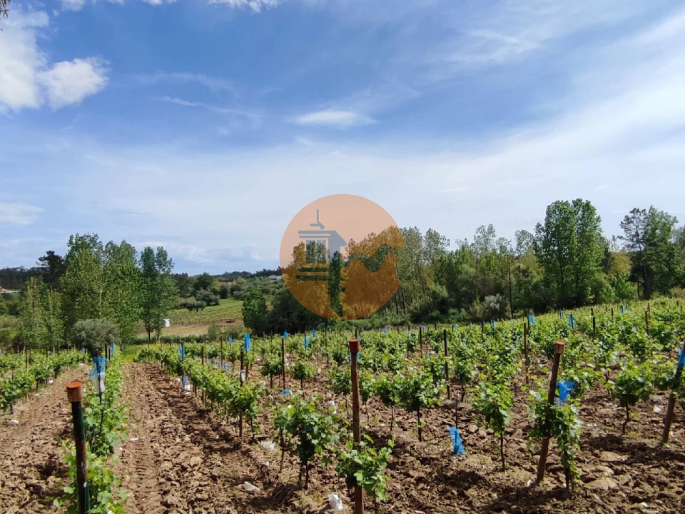 Terreno para Venda em Casal Comba Foto 30