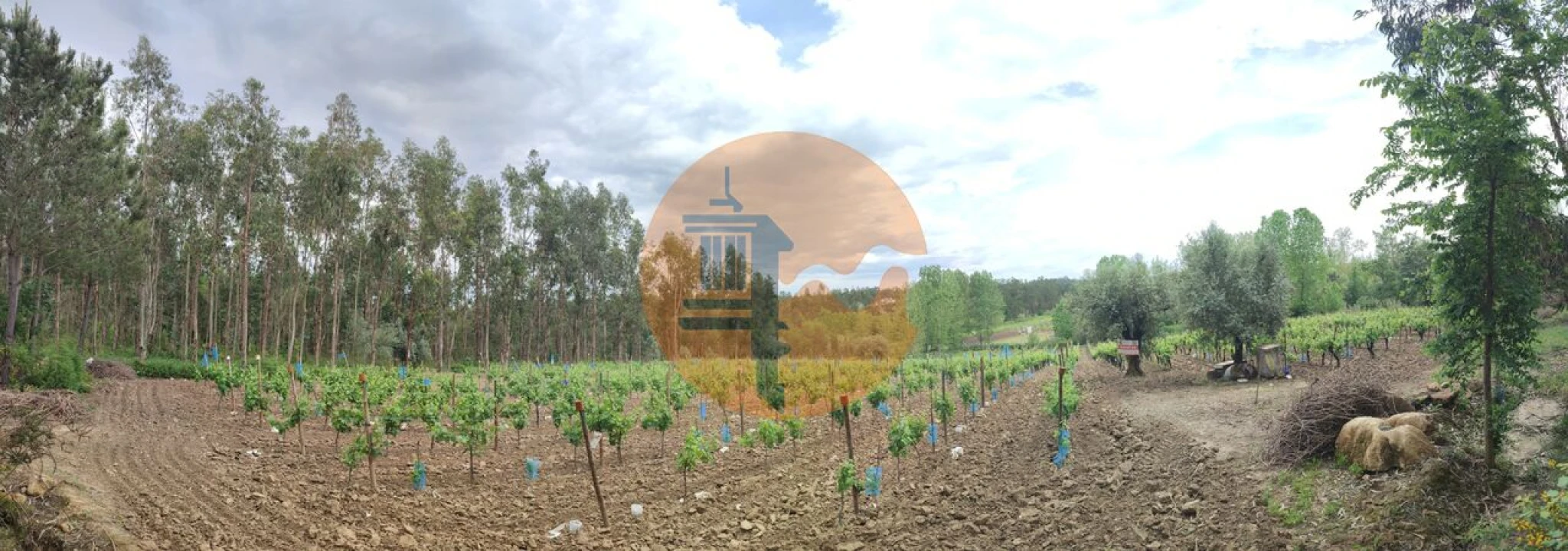 Terreno para Venda em Casal Comba Foto 33