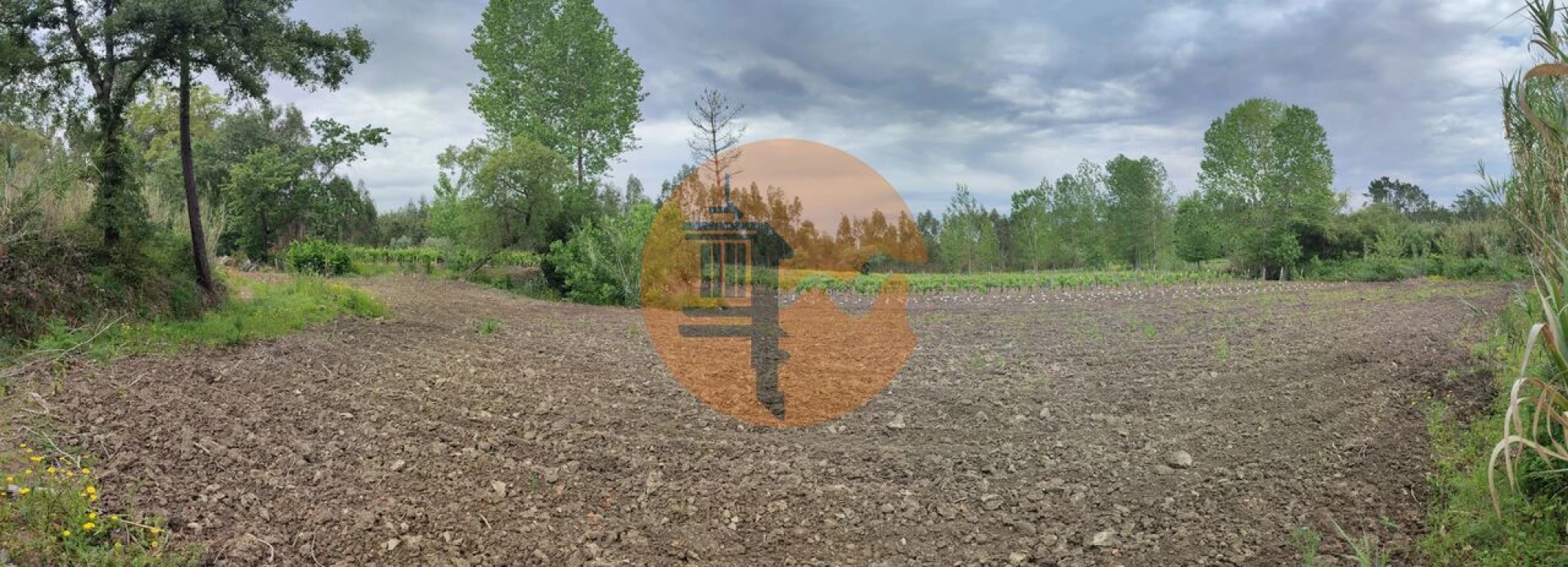 Terreno para Venda em Casal Comba Foto 34