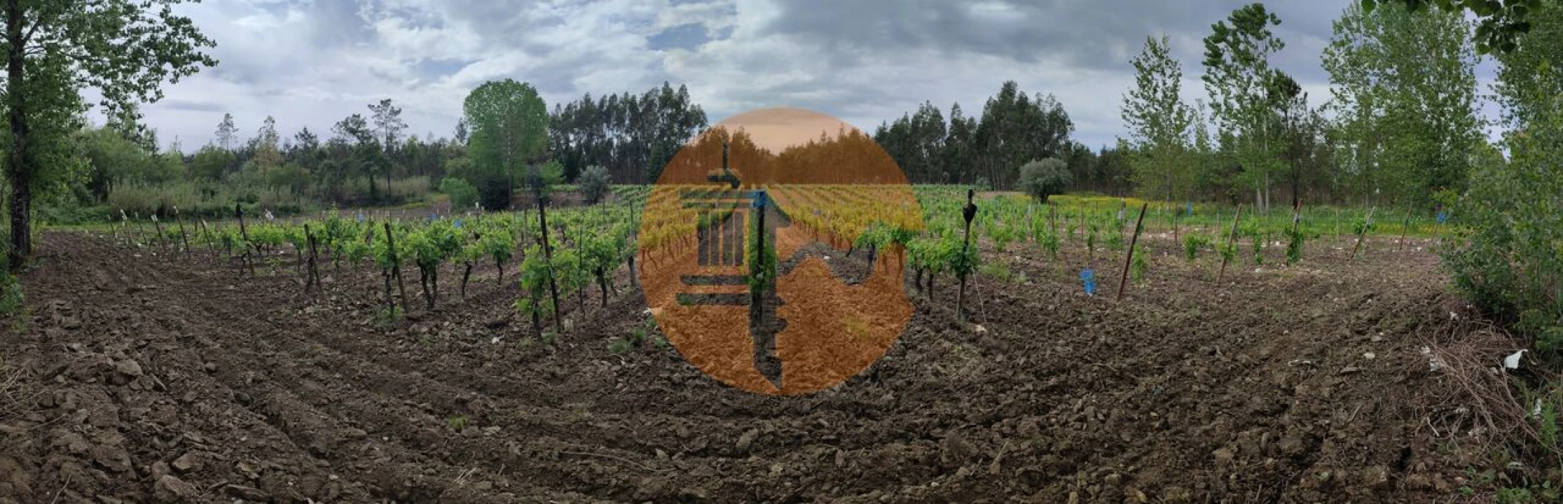 Terreno para Venda em Casal Comba Foto 35