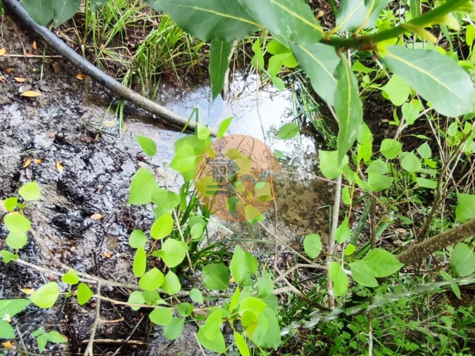 Terreno para Venda em Casal Comba Foto 11