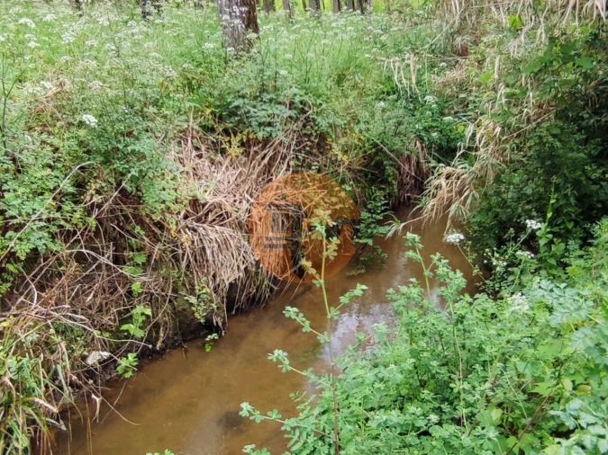 Terreno para Venda em Casal Comba Foto 14