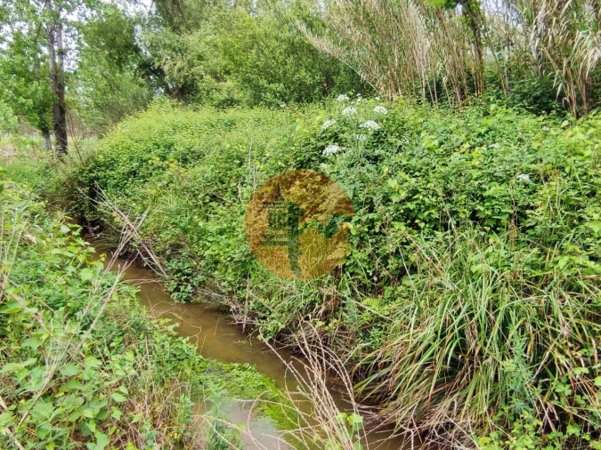 Terreno para Venda em Casal Comba Foto 15