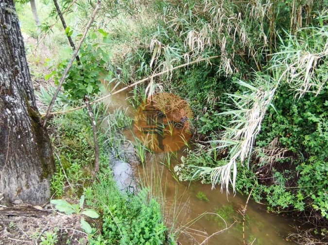 Terreno para Venda em Casal Comba Foto 20