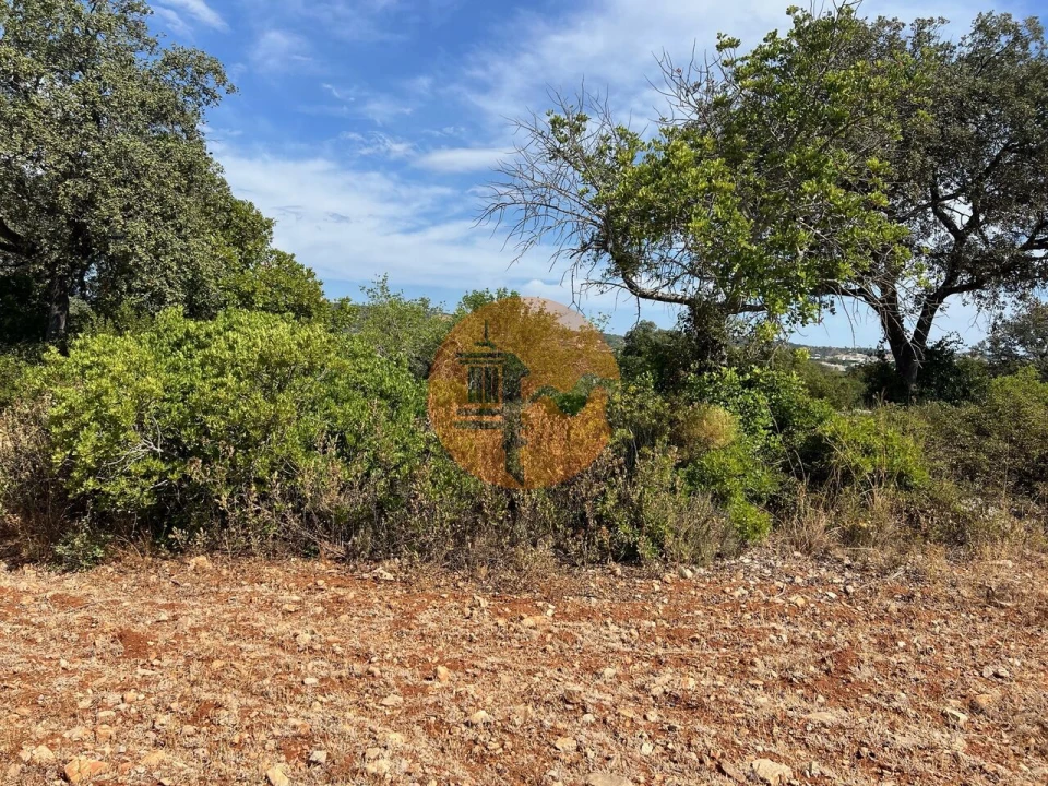 Terreno para Venda em São Brás de Alportel Foto 3