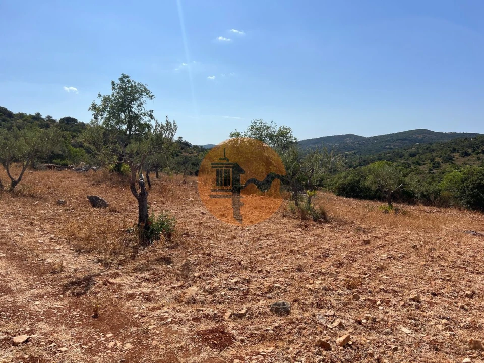 Terreno para Venda em São Brás de Alportel Foto 1