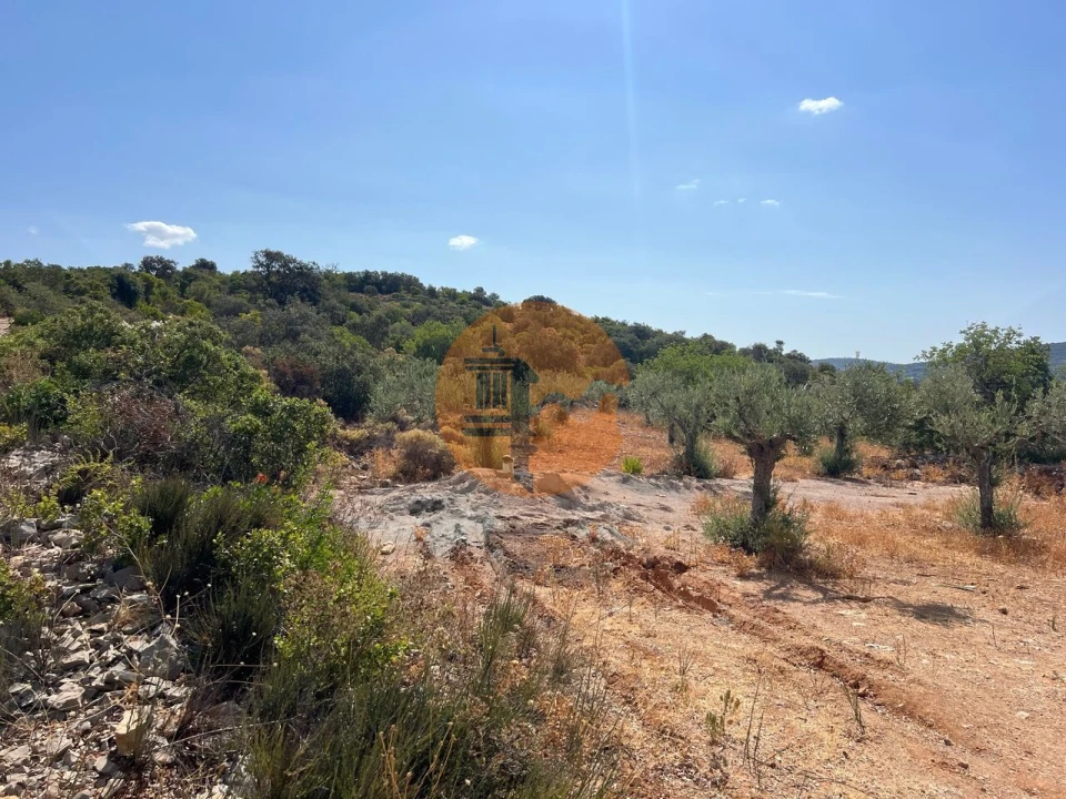 Terreno para Venda em São Brás de Alportel Foto 6