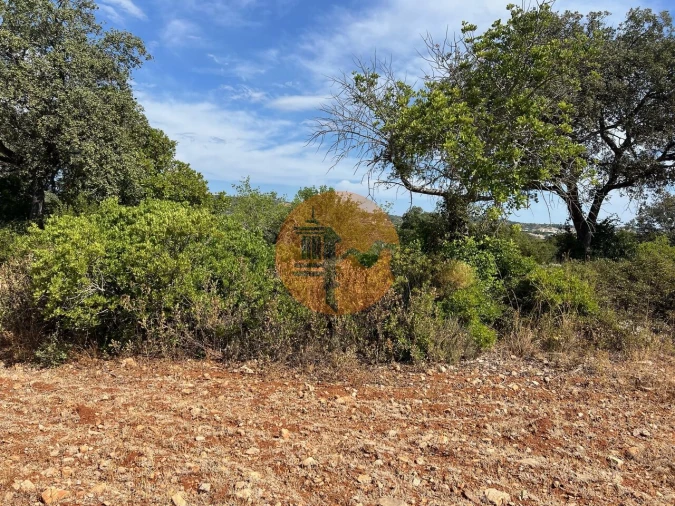 Terreno para Venda em São Brás de Alportel Foto 3