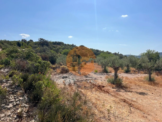 Terreno para Venda em São Brás de Alportel Foto 6
