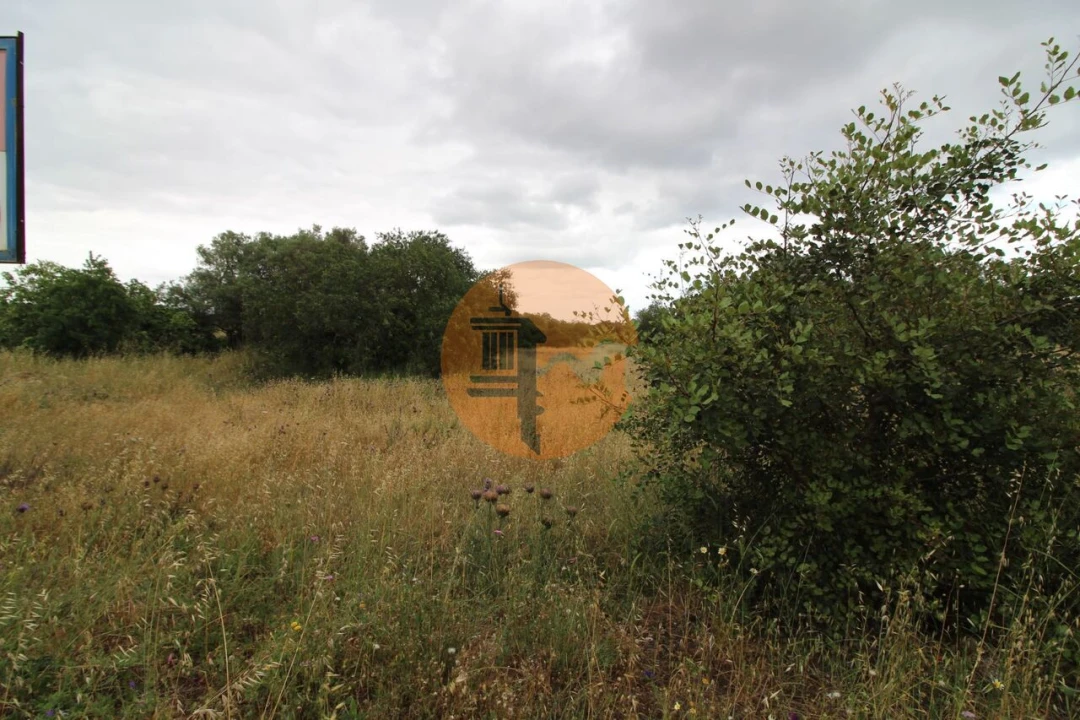 Terreno para Venda em Ferreiras Foto 7