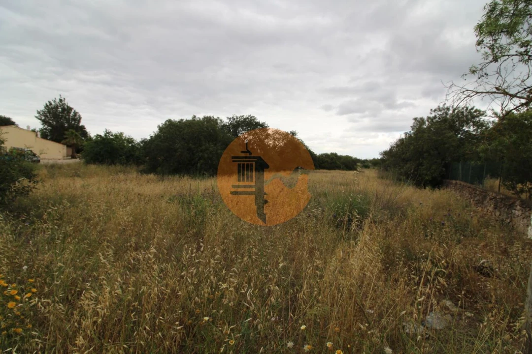 Terreno para Venda em Ferreiras Foto 9