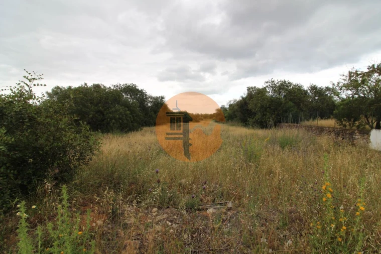 Terreno para Venda em Ferreiras Foto 8