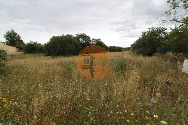 Terreno para Venda em Ferreiras Foto 10