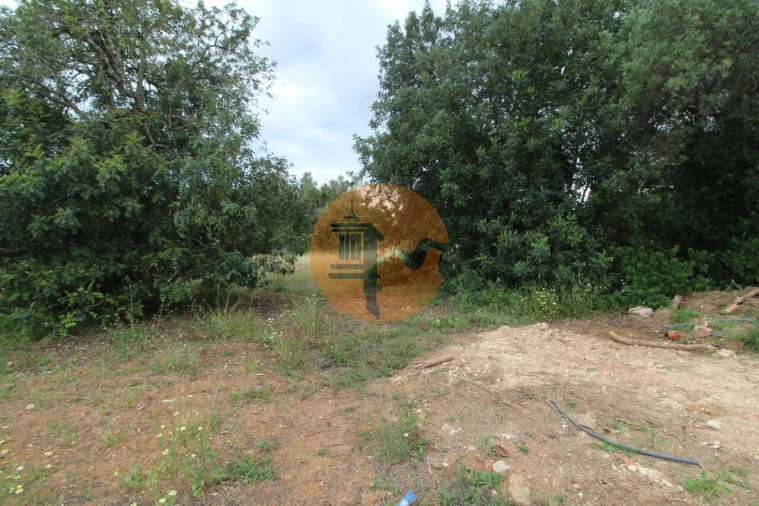 Terreno para Venda em Ferreiras Foto 15