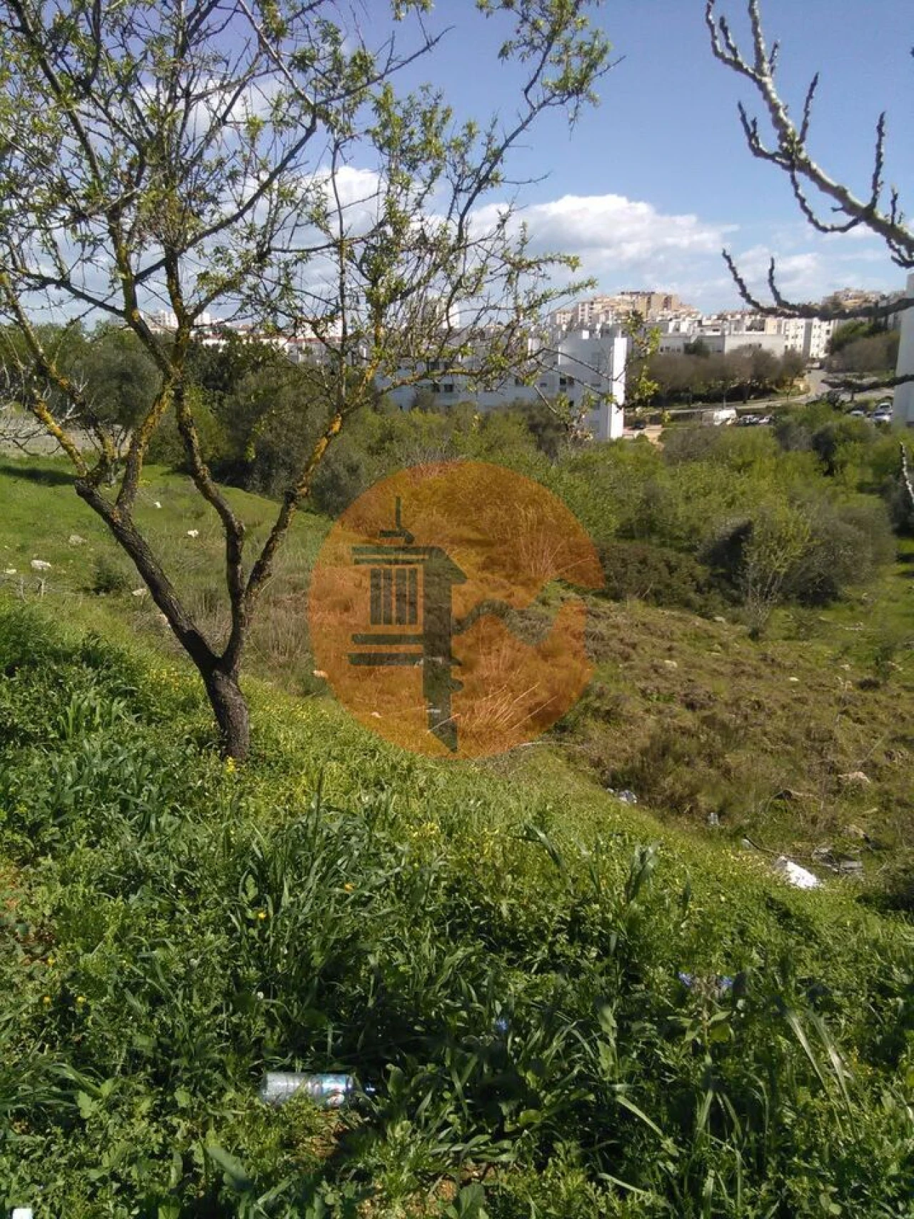 Terreno para Venda em Lagos (São Sebastião e Santa Maria) Foto 1