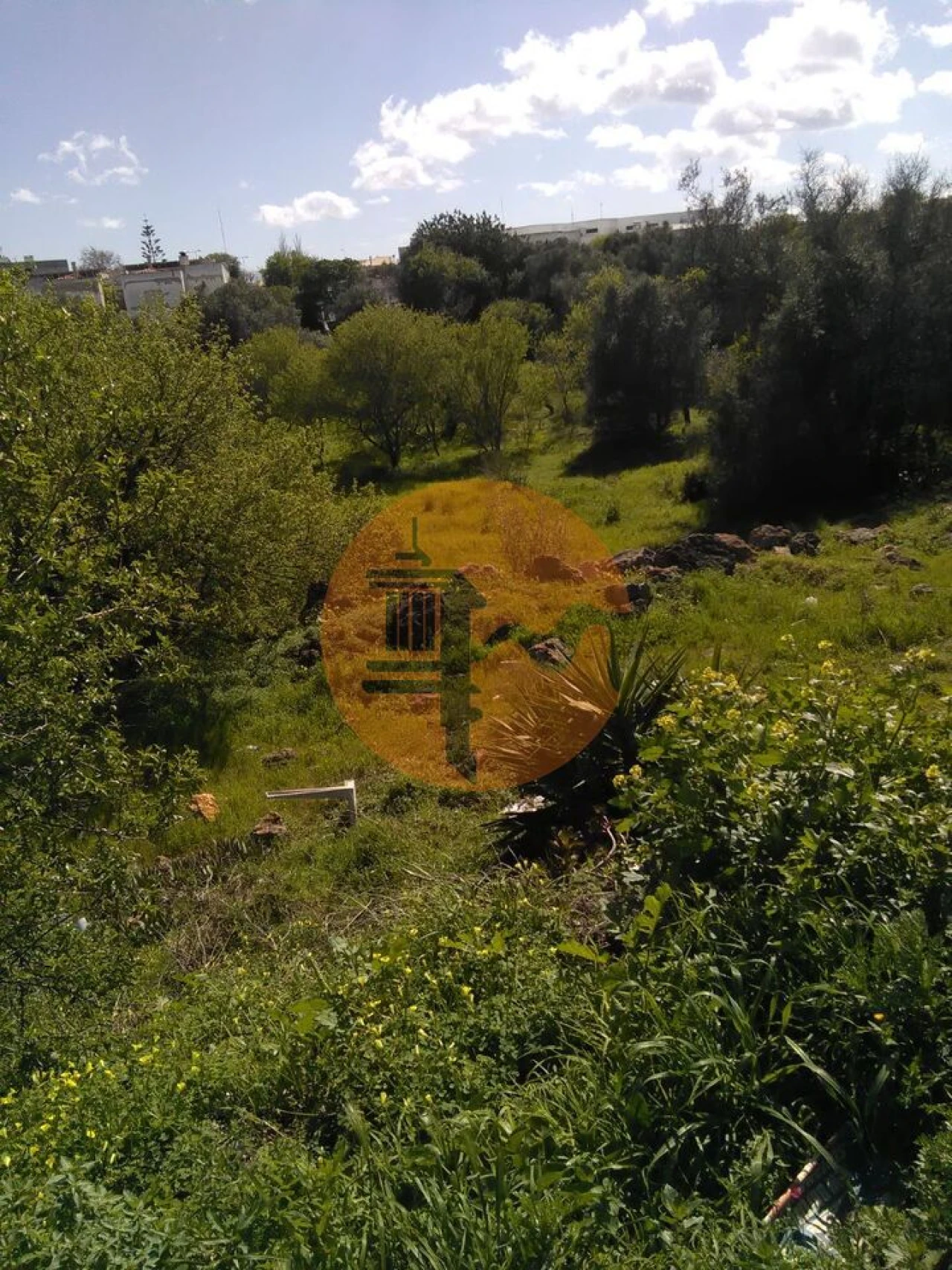 Terreno para Venda em Lagos (São Sebastião e Santa Maria) Foto 2
