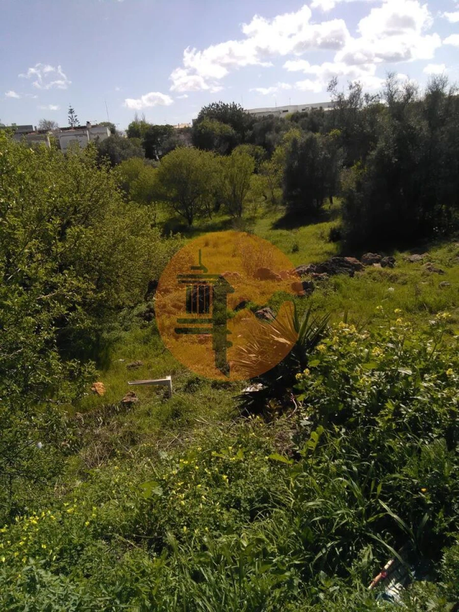 Terreno para Venda em Lagos (São Sebastião e Santa Maria) Foto 2